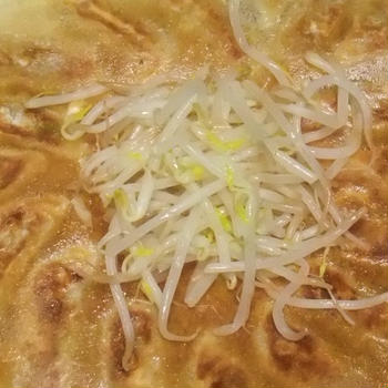 冷凍　大阪王将の羽根つき餃子