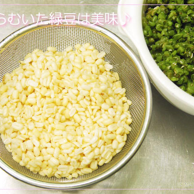 緑豆は皮つきを買って皮をむくのが美味しい