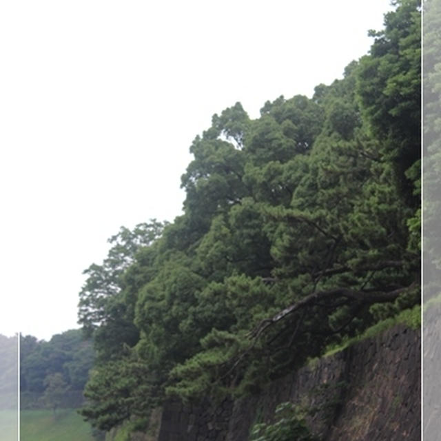 またまた突然の誘い・・・都内へGo！