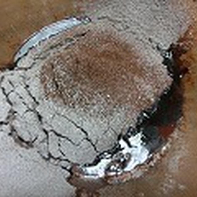 しふぉんけーき研究　　　ココアしふぉん再び