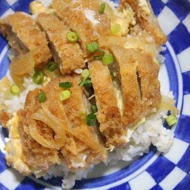 4月23日　　ひれかつ丼