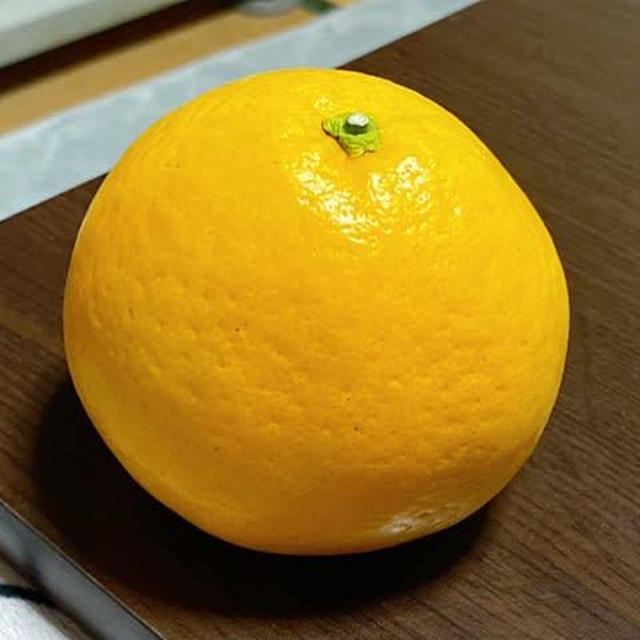 ミッキーはおとんが大好き