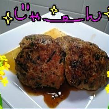 ひじきと紫蘇の豆腐はんば～ぐ♪