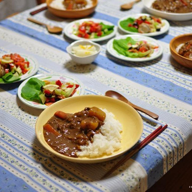 カレーな晩ごはんと、忙し屋の母さん