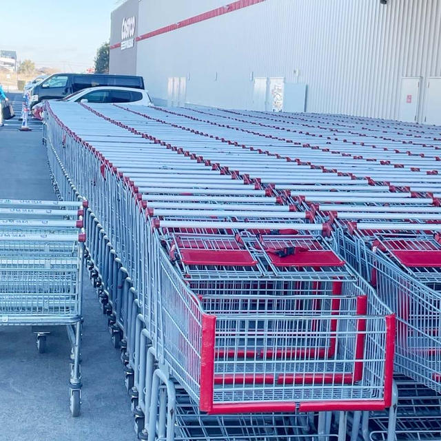コストコ＊レアなのか？あっという間に売り切れ商品ー！