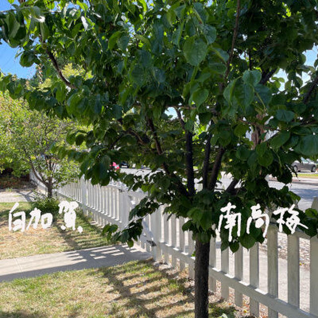 突然に知らない方からメール