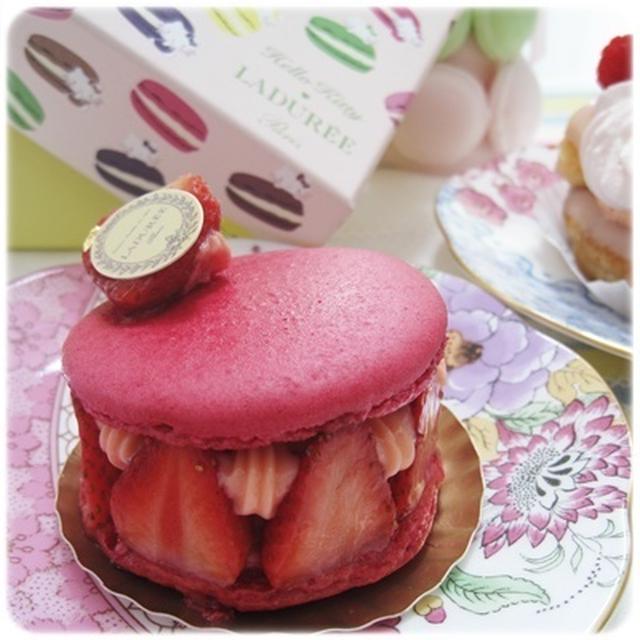 「LADURÉE」150YEARS! ＊バタフライ＊