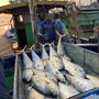 【番外編】インド・チェンナイで魚河岸探検！
