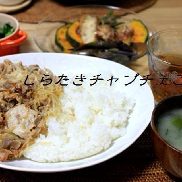 定番！しらたきチャプチェごはん