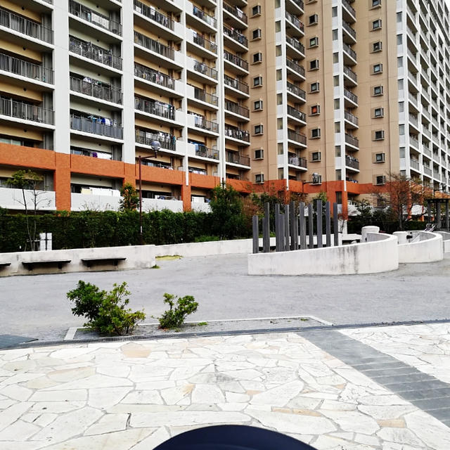 公園　南水元けやき公園