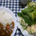 カレーとポテサラ