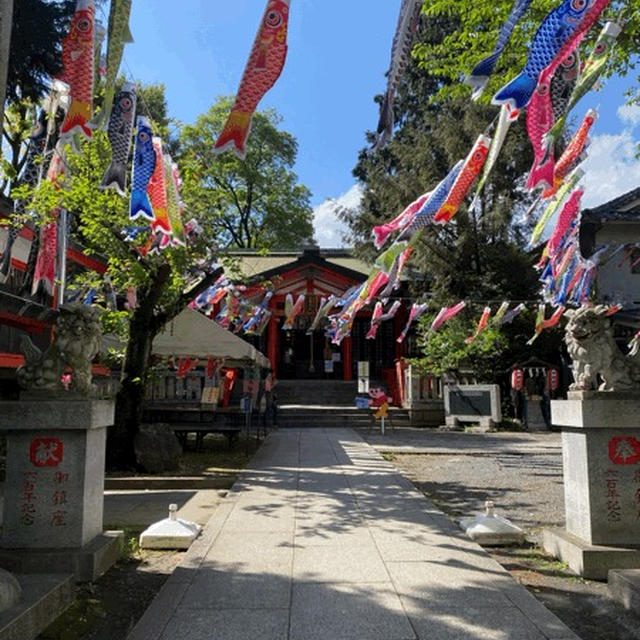 日曜は板橋区熊野町の熊野神社へ。こいのぼりを見に行ってきました。