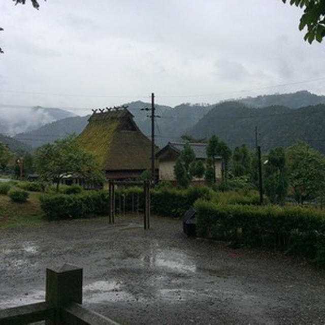 客人と茅葺きの里美山へ