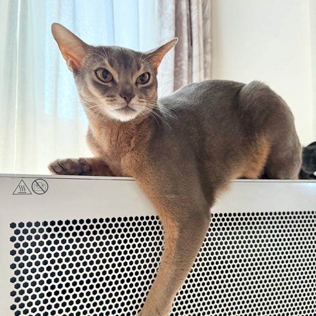 ヒーターと共に…冬の坊