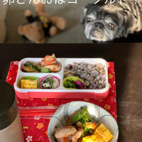 八方だしでお手軽弁当！の香りに揺らぐパグ