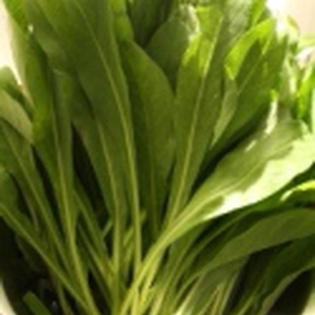 沖縄野菜（薬草）