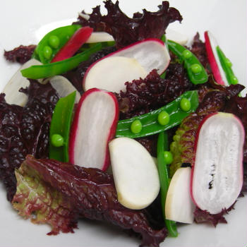鎌倉野菜サラダ