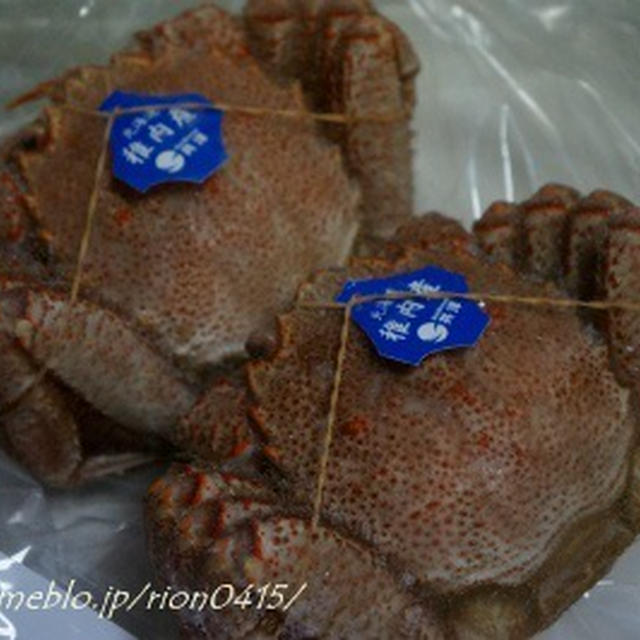 オホーツク海から「極」毛ガニ