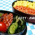 ０５１１☆２色ご飯お弁当♪
