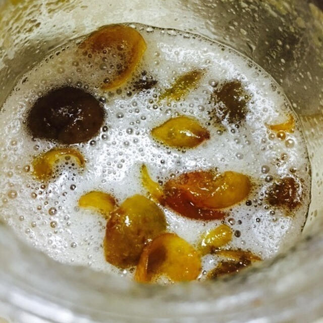 【募集スタート】自家製酵素作りws