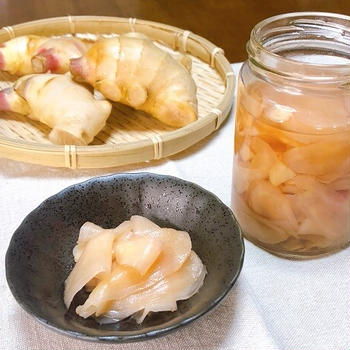 【砂糖不使用・保存食】新生姜の甘酢漬けの作り方｜爽やか美味で夏バテ予防！味付け不要のアレンジ