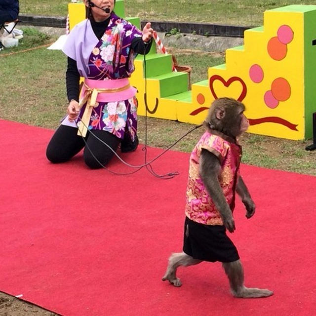 動物王国