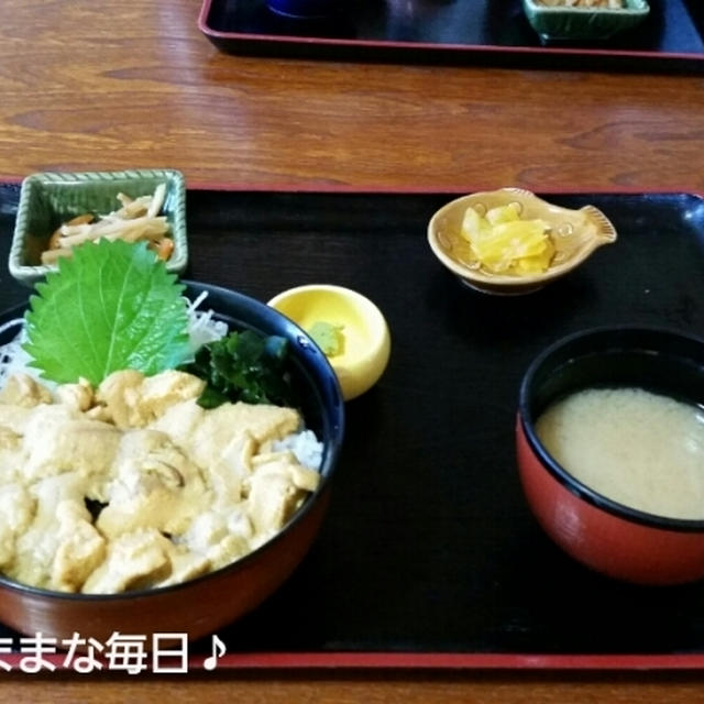 今年も行ってきました☆ウニ様！