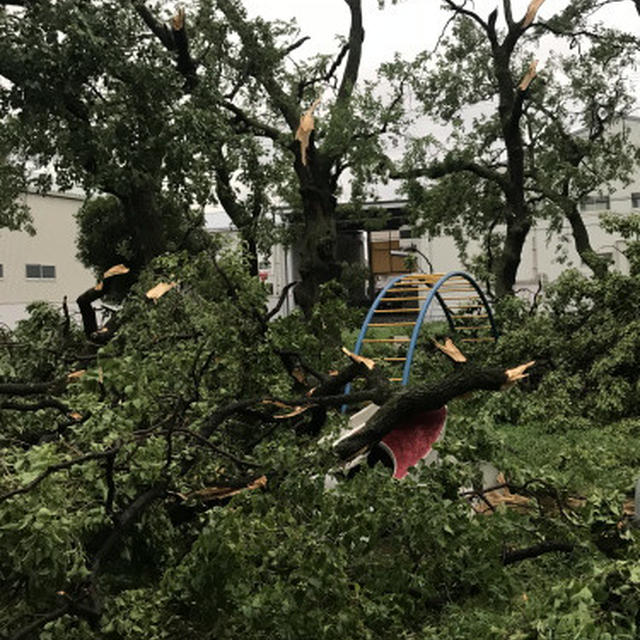 台風のこと