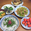 梅しそしらす丼
