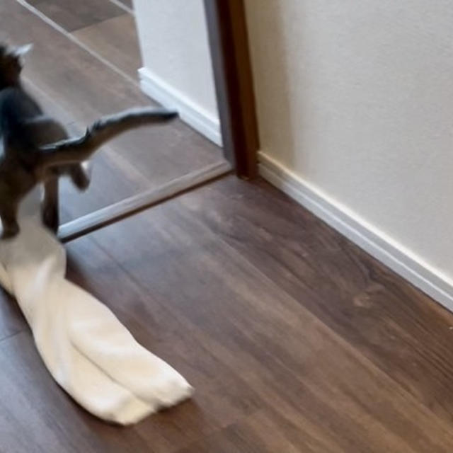 運び屋のわか