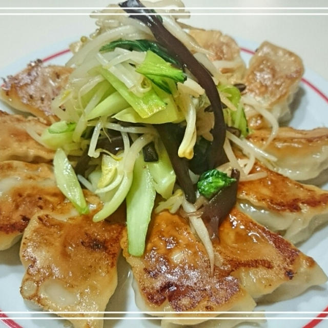 【モニレポRecipe:餃子の美味しい焼き方】餃子にはもやしと木耳♪