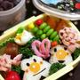 おむすびまんとこむすびまん弁当＆小さなお客様★