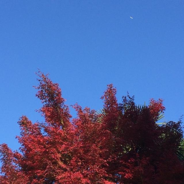 ぽかぽか。。気持ちいぃーね(⑅˃◡˂⑅)