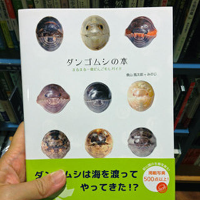 本屋で見つけた