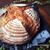 Pain de campagne 田舎パン