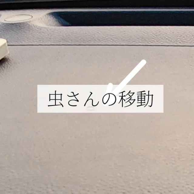 勝手に移動させられた虫たち。