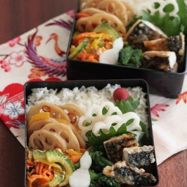 水と卵 ✿ 今日のbento&昨日の晩ご飯♪