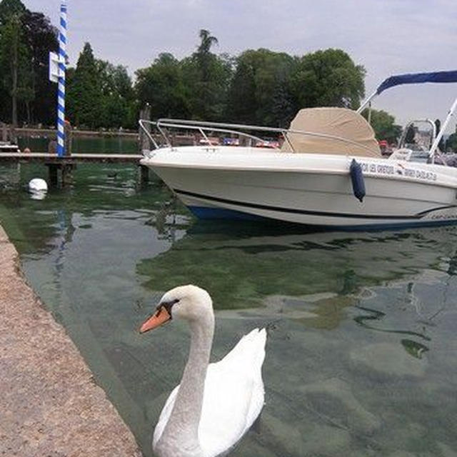 SAVOIEの山散歩－花が溢れる湖畔の町ANNECY
