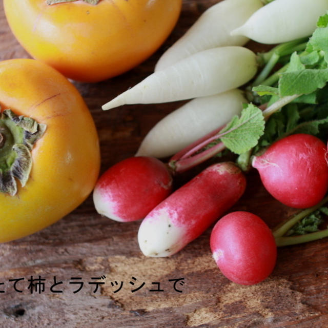 採れたて柿とラディッシュで