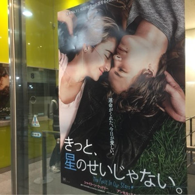頭痛いよー。