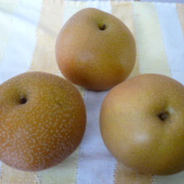 小田原の梨