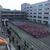 運動会２０１５年