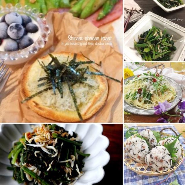 しらすレシピ10選♡【#簡単レシピ#しらす】