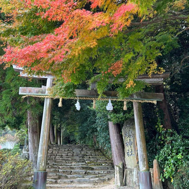 神在月の出雲へ。 神魂神社／八重垣神社