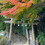 神在月の出雲へ。 神魂神社／八重垣神社