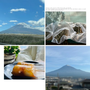 昨日の富士山・・ティータイムスィーツは雅心苑のお団子です!!レモングラスが凄い