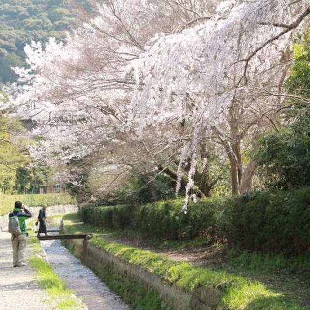 京都・岡崎から醍醐寺へ