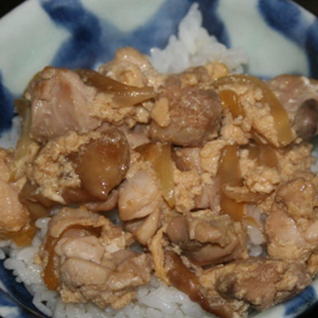 1月28日　　親子丼