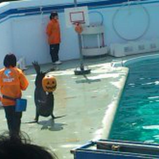 10/6 水族館デート♡