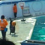 10/6 水族館デート♡
